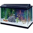 thumbnail image 3 of Aqueon Standard Glass Rectangle Aquarium Clear Silicone, 3 of 3