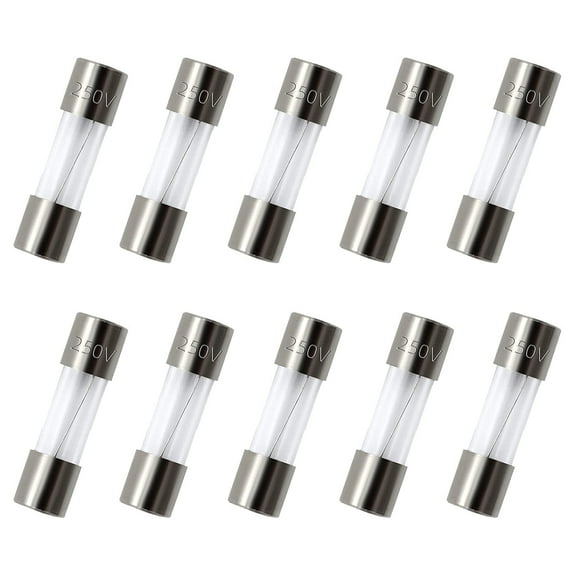 pack of 10 pcs F10AL Fast-Blow Fuse 10A 250V Glass Fuses 0.2 x 0.79 inch / 5 x 20 mm (10amp) (F10A)