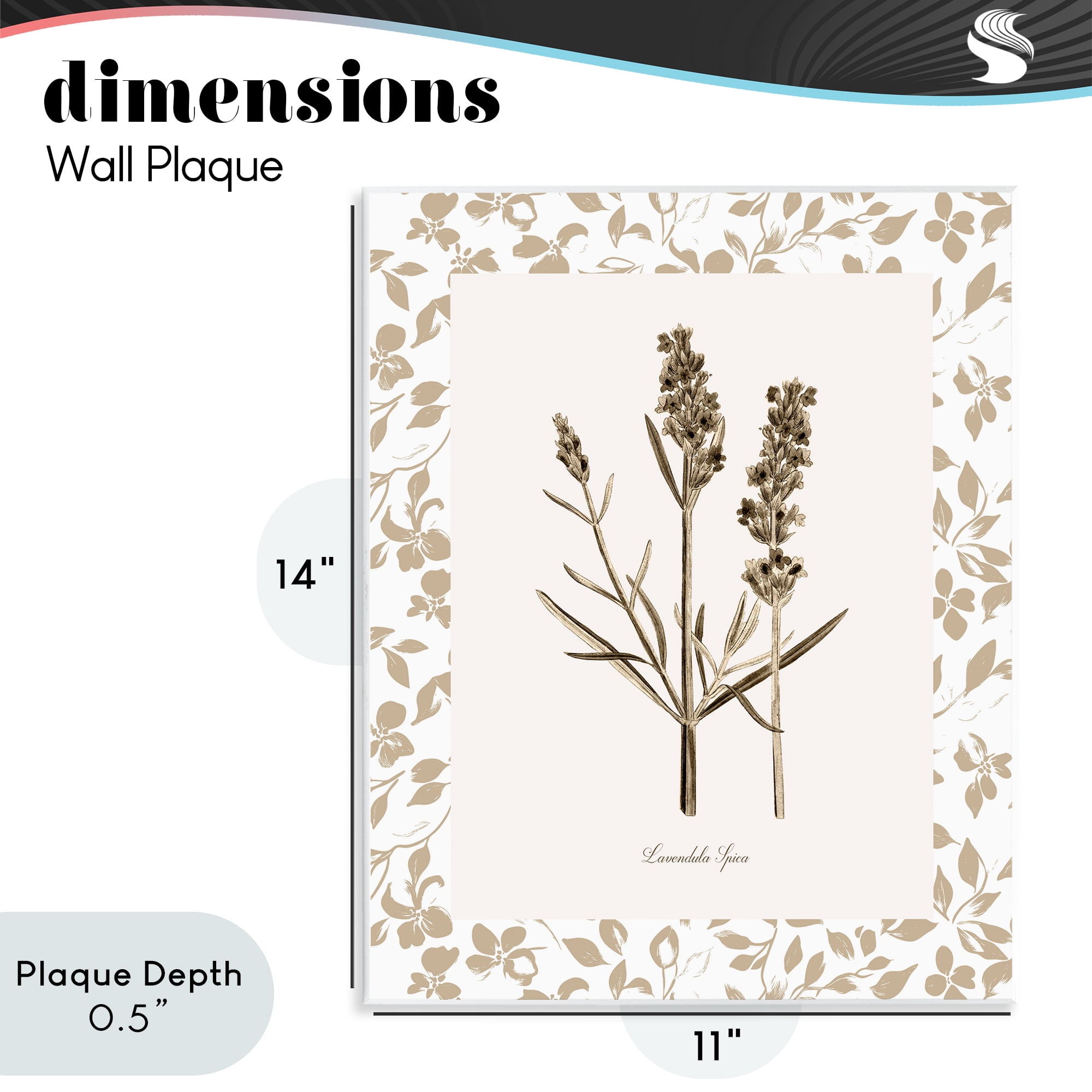 Stupell Industries Neutral Imperial Herb Study Wall Plaque Art, design by Kelly Donovan