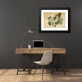 thumbnail image 4 of Sheikh Zain al-Din 24x18 Black Modern Framed Museum Art Print Titled - Oriental Magpie Robin with Katydid and Leaf Hopper on Monkey Jack Branch (1778), 4 of 5