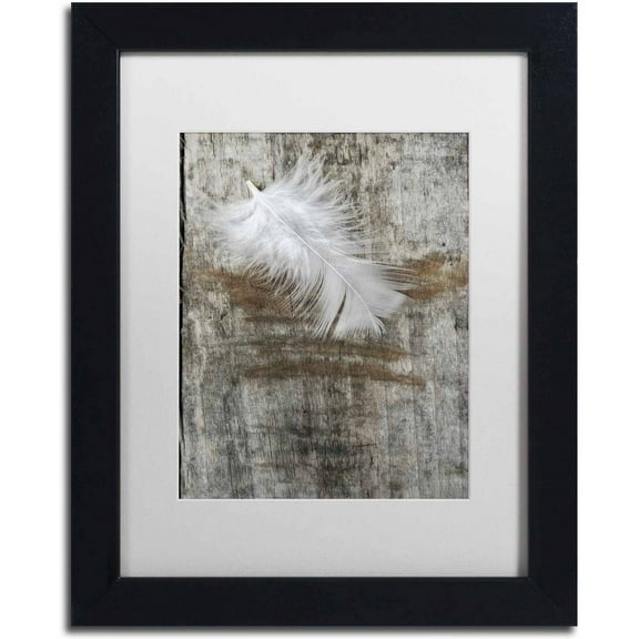 Trademark Fine Art 'White Feather on Wood' Canvas Art by Cora Niele, White Matte, Black Frame