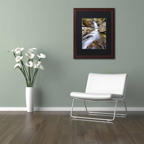 Trademark Fine Art "Bingham Falls" Canvas Art by Michael Blanchette Photography Black Matte, Wood Frame