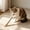 Brown C, variant on AuroraX Silvervine Cat Chew Wand Natural Sisal Rope Cat Wand Durable Non-Toxic Teeth Cleaning Long Lasting Interactive Cat Toy for Boredom Relief Brown