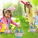 thumbnail image 1 of 1 Easter Rope Storage Basket With Handles Convenient Bunny Storage Basket Desktop Storage Basket, 1 of 6
