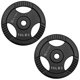thumbnail image 2 of Kit de Discos de pesas Altera Setx2-DGY10Lbs, 2 of 2