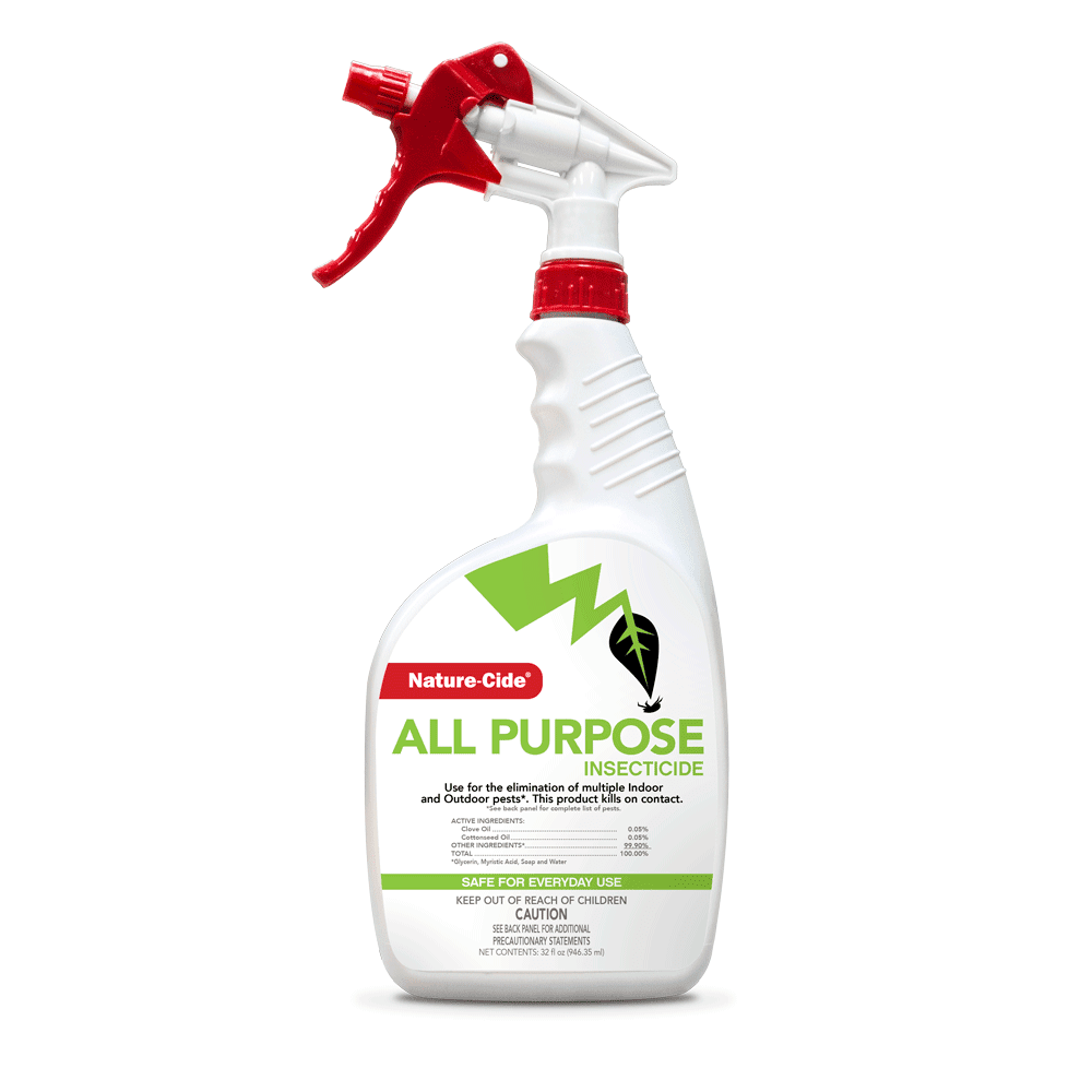 spider pesticide spray