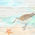 thumbnail image 3 of Coulter, Cynthia 12x12 Black Modern Framed Museum Art Print Titled - Sandpiper Beach II, 3 of 5