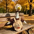 thumbnail image 5 of Thanksgiving Pilgrim Porch Goose Outfit for 23 Inch Cement Lawn Goose Statue, Fall Porch Goose Outfit, 5 of 5