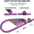 thumbnail image 4 of Fida Durable Slip Lead Dog Leash Bulk Pack of 5, Heavy Duty 1/2" x 6 FT Comfortable Strong Rope Slip Leash for Large, Medium Dogs No Pull Pet Training Leash with Highly Reflective, Purple, 4 of 8