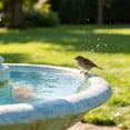 thumbnail image 3 of Outdor 1Pcs Bird Bath Disc Pure Copper Bird Bath Purification Disk 4Inch 0.7MM Thick Self Cleaning Design For Clean Water All Year Disks For Outdoor Birdbaths Bowls Founta, 3 of 5