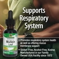 thumbnail image 5 of Nature's Answer Mullein Leaf Extract – Alcohol-Free Herbal Lung Support – Non-GMO – Promotes Respiratory Health – 1 fl oz, 5 of 9