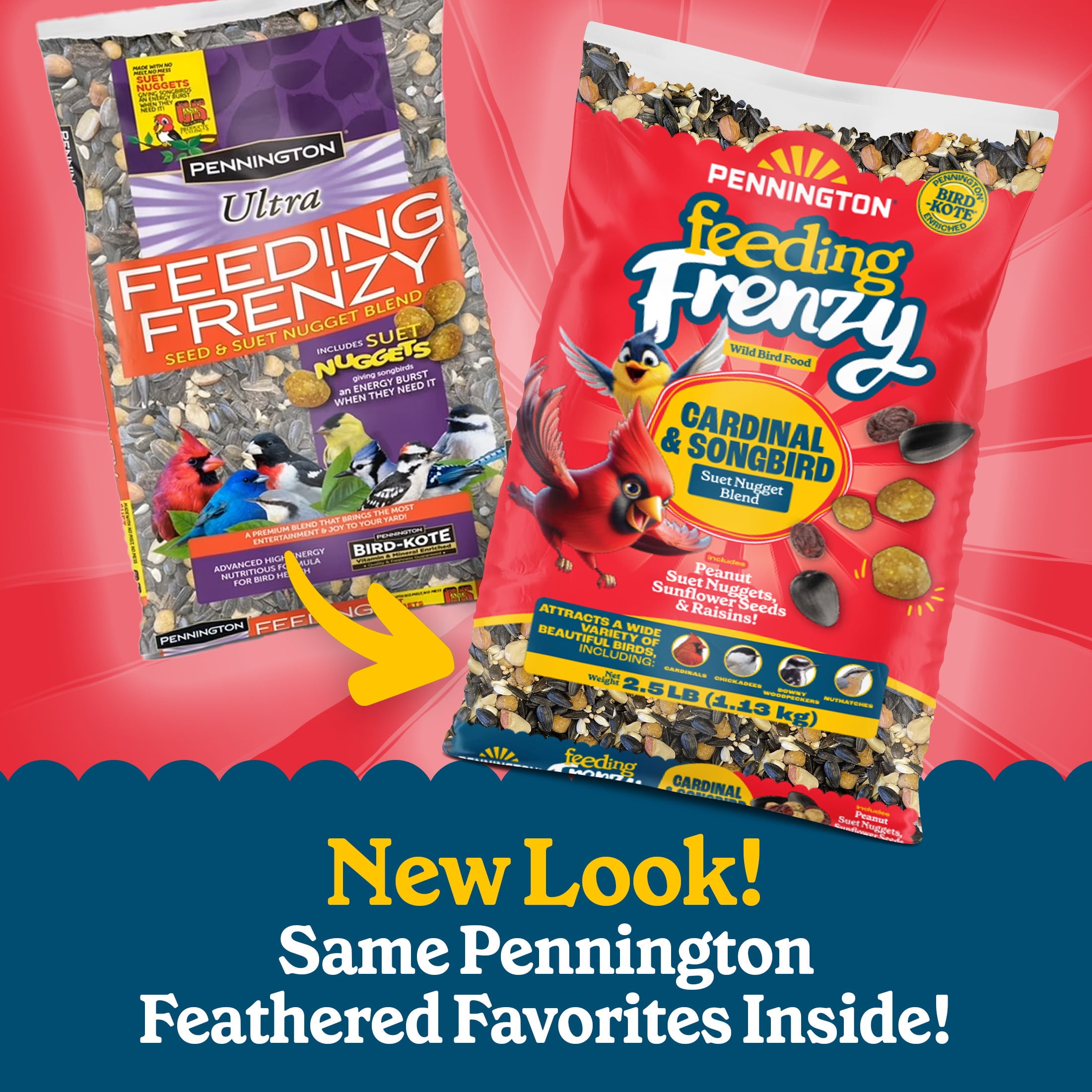 Pennington Feeding Frenzy Cardinal and Songbird, Wild Bird Food Blend, 2.5 lb