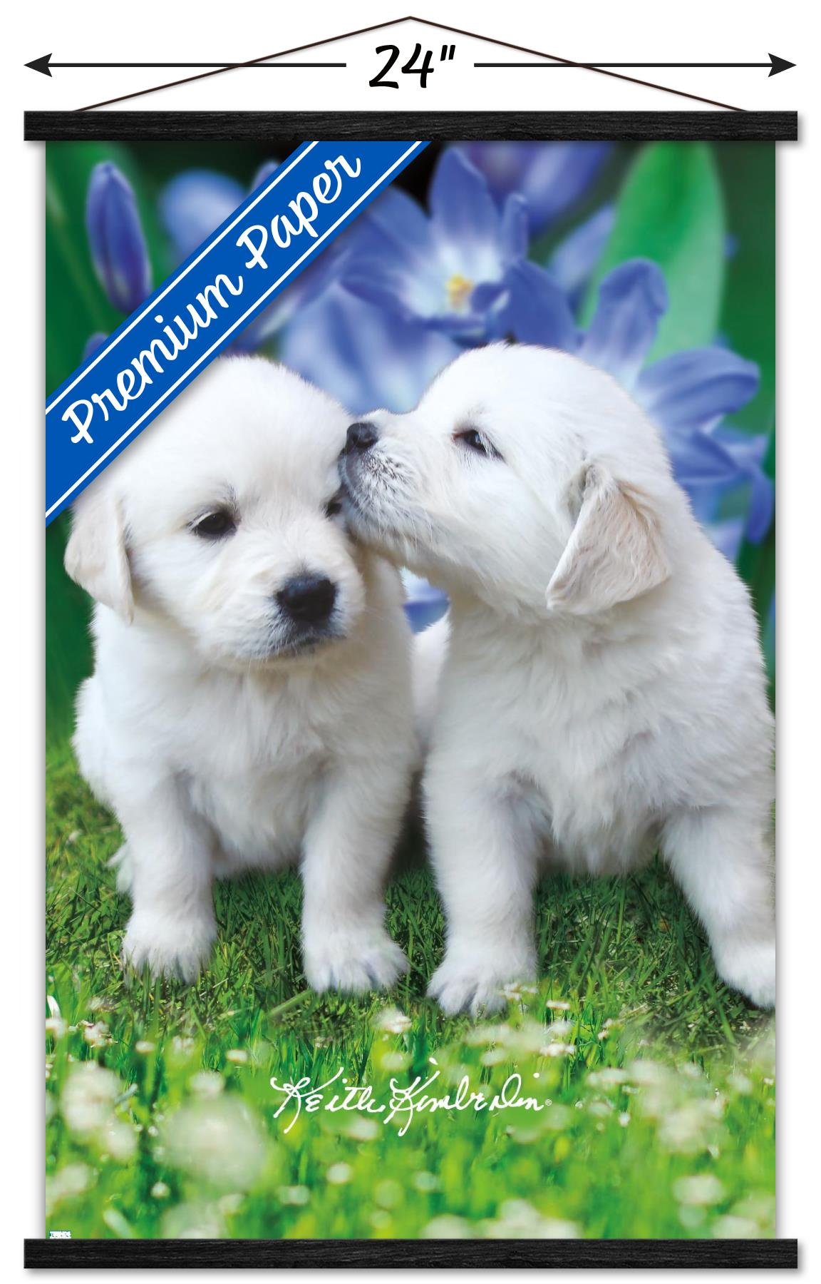 Keith Kimberlin - White Golden Retriever Puppies Wall Poster with Wooden Magnetic Frame, 22.375" x 34"
