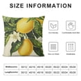 thumbnail image 5 of Qinduosi Lemon Summer Fruit Outdoor Style Pillow Cover Home Decorative Throw Pillow Case Square Cushion Covers (Summer Lemon) White, 5 of 5