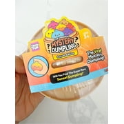 Crazy Fun The Original Mystery Dumpling Sunset Edition Squishy Toy, 4-Inch Mystery Fidget Toy, 1 Count (Style May Vary)