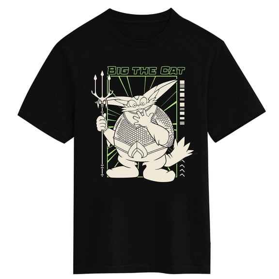 DC x Sonic the Hedgehog Boys Short Sleeve Graphic Tee 100% Cotton Back Sonic Print Youth Crew Neck T-Shirt-XXL