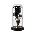 thumbnail image 2 of Halloween Skeleton Decorations, 8 Inch Light Up Halloween Decorations with Warm Fairy Lights, Gothic Halloween Decor Glass Cloche with Base for Indoor Home Party Table Display, 1, 2 of 6