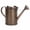 Brown, variant on 1-Gallon Steel Watering Can with Removable Sprinkler Head Ideal for Indoors & Outdoors, Bronze
