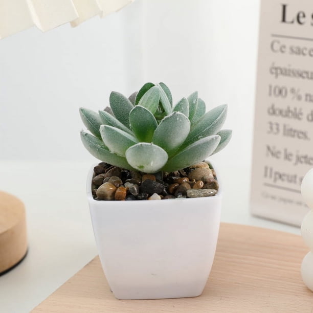 Zhuge 3 piezas de plantas de simulación en maceta, pequeñas plantas falsas en maceta, mini plantas artificiales de escritorio (A66)