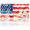 American Flag with Daisies, variant on 1 Pcs 2D Flat License Plate Covers & Frames, Eagle with Skull For Decorative Front, Waterproof For Decoration Aluminum License Plate Covers & Frames Cover For Men Women, 12" X 6"