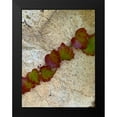 thumbnail image 2 of Grayscale 19x24 Black Modern Framed Museum Art Print Titled - Ivy II, 2 of 5