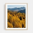 thumbnail image 2 of McClure Pass III - Colorado Photography Autumn Forest Nature Landscape Mountain Scenic Wilderness Unframed Wall Art Print 9 x 12 inches, 2 of 13
