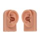 thumbnail image 1 of Modelo de oreja de silicona NikouMX para práctica de perforación flexible, 1 of 8