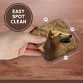 thumbnail image 7 of 3drose, Dingo Wildlife, Kakadu Np, Northern Territory, Australia-au01 Dwa4451 - David Wall, Set of 4 Coasters - Soft, 7 of 7