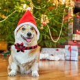 thumbnail image 2 of Collar navideño para perro ZHAOCHENG pajarita clásico a cuadros rojos, 2 of 5