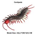 thumbnail image 2 of Ksopiavobs Animal Figures 1pcs Rubber Elastic Realistic Centipede Action Model, Stress Relief Toys for Science Project, Learning Educational Toys, Birthday Gift, Cake Topper for Kids, 2 of 6
