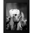 thumbnail image 2 of Pica, Jeff 12x14 Black Modern Framed Museum Art Print Titled - Floral Portrait II, 2 of 5
