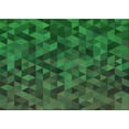 thumbnail image 1 of Ahgly Company Indoor Rectangle Patterned Dark Forest Green Area Rugs, 2' x 4', 1 of 1