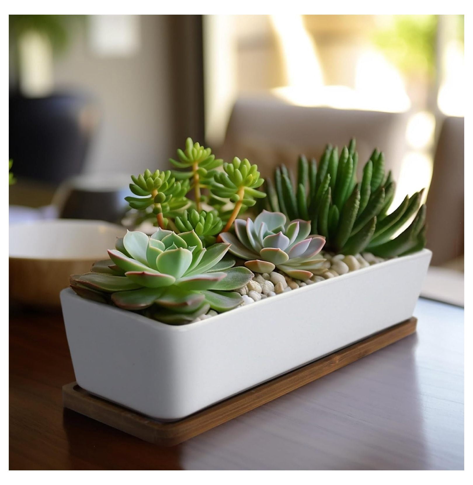 Ceramic Plant Pots - 11" Long Rectangle White Planter with Bamboo Tray - Indoor Succulent & Flower Pots - Boho Chic Decor - Modern Minimalist Design