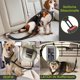 thumbnail image 5 of 2 cinturones de seguridad para perros de 54-90 cm, cuerdas de seguridad para perros medianos y grandes, cinturones de seguridad retráctiles reflectantes para mascotas Rojo Verde, 5 of 5