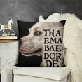 thumbnail image 2 of YINGXI Best Dog Lover Gifts Warm Sweet Funny Sayings The Dog Hair Throw Pillow Case Cushion Cover New Home Decorative Square 12x12in, 2 of 5