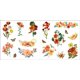 thumbnail image 4 of Libro de pegatinas Bunches of Botanicals Peter Pauper Press, más de 500 pegatinas, 4 of 9
