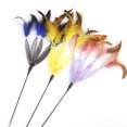 thumbnail image 4 of 3PCS Cat Teaser Wand Interactive Funny Fashion Cat Feather Toy Cat Training Toy, 4 of 10
