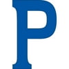 Plaid Wood Letter P, 1 Each