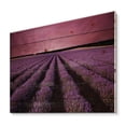 thumbnail image 2 of Designart 'Dramatic Clouds and Sunrise Over Lavender Field XI' Farmhouse Print on Natural Pine Wood, 2 of 5