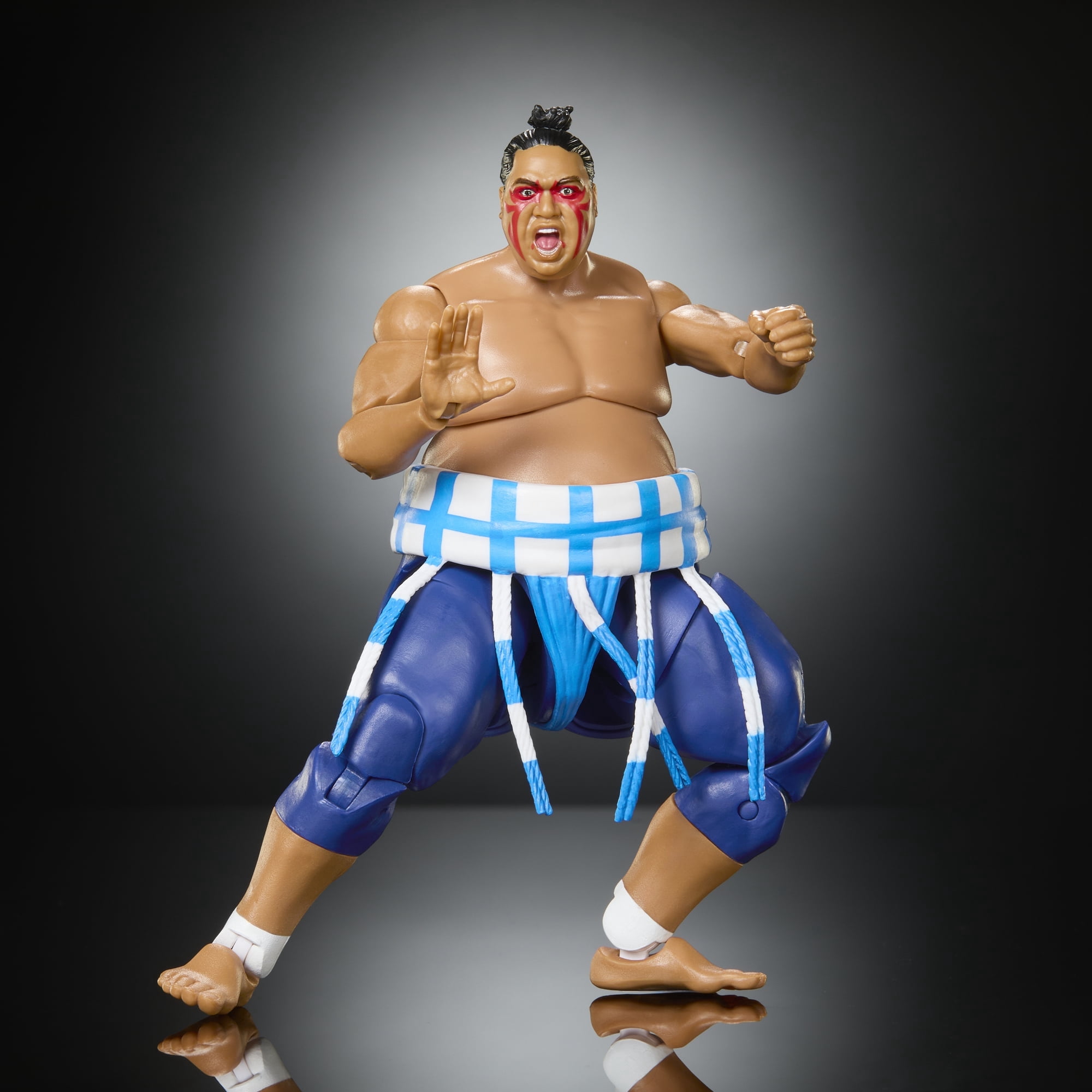 WWE x Street Fighter Action Figures Elite , 6 inch