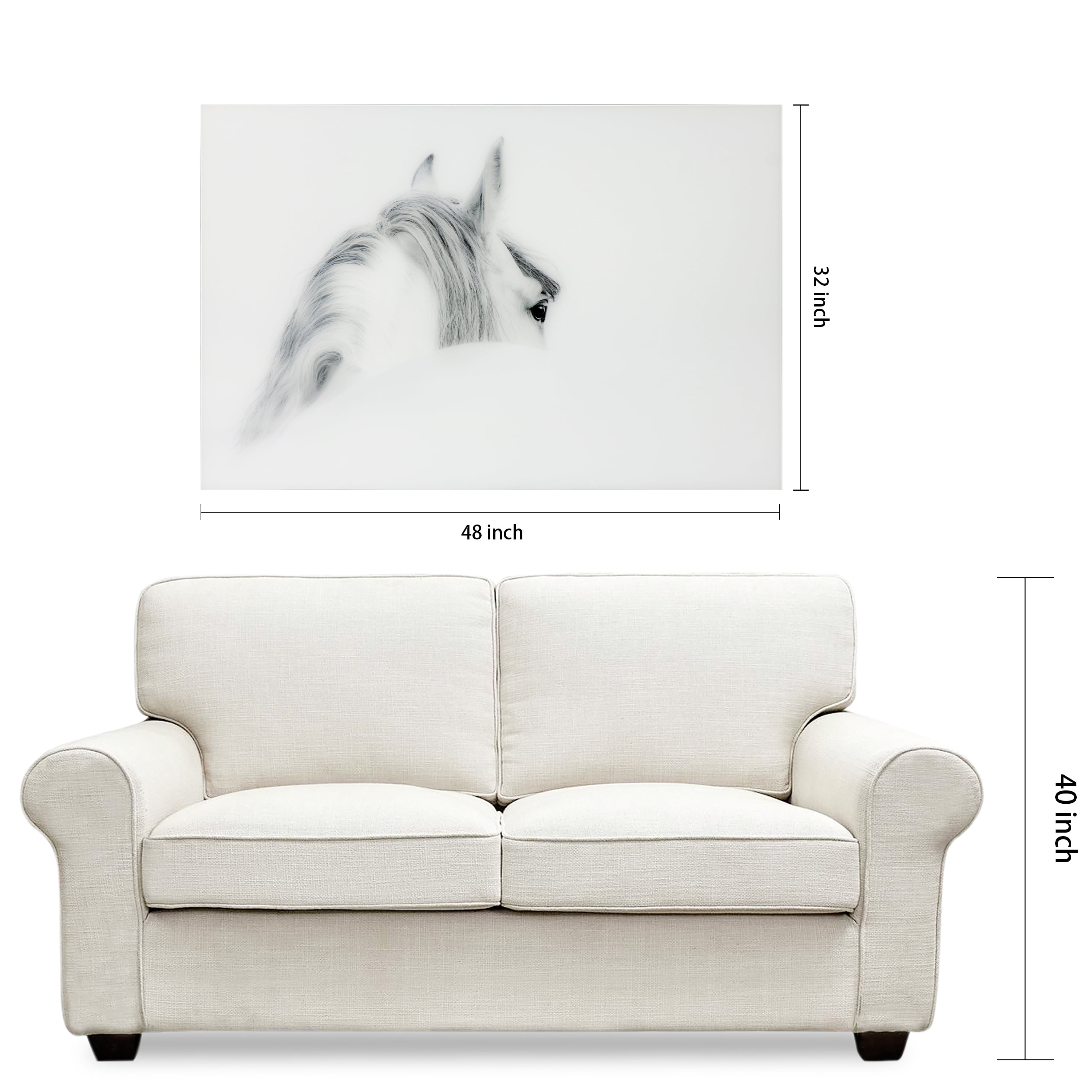 Empire Art Direct Blanco Mare Horse Frameless Free Floating Tempered Glass Panel Graphic Wall Art, 48" x 32" x 0.2", Ready to Hang