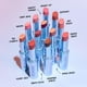 thumbnail image 5 of Lápiz labial Kosas Wet Stick Hydrating Sheer Hot Beach, 5 of 9