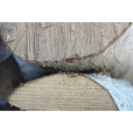 Saw 6 Poster - LAMINATED POSTER Like Sawed Off Firewood Stacked Tree Wood Poster Print 24 x 36