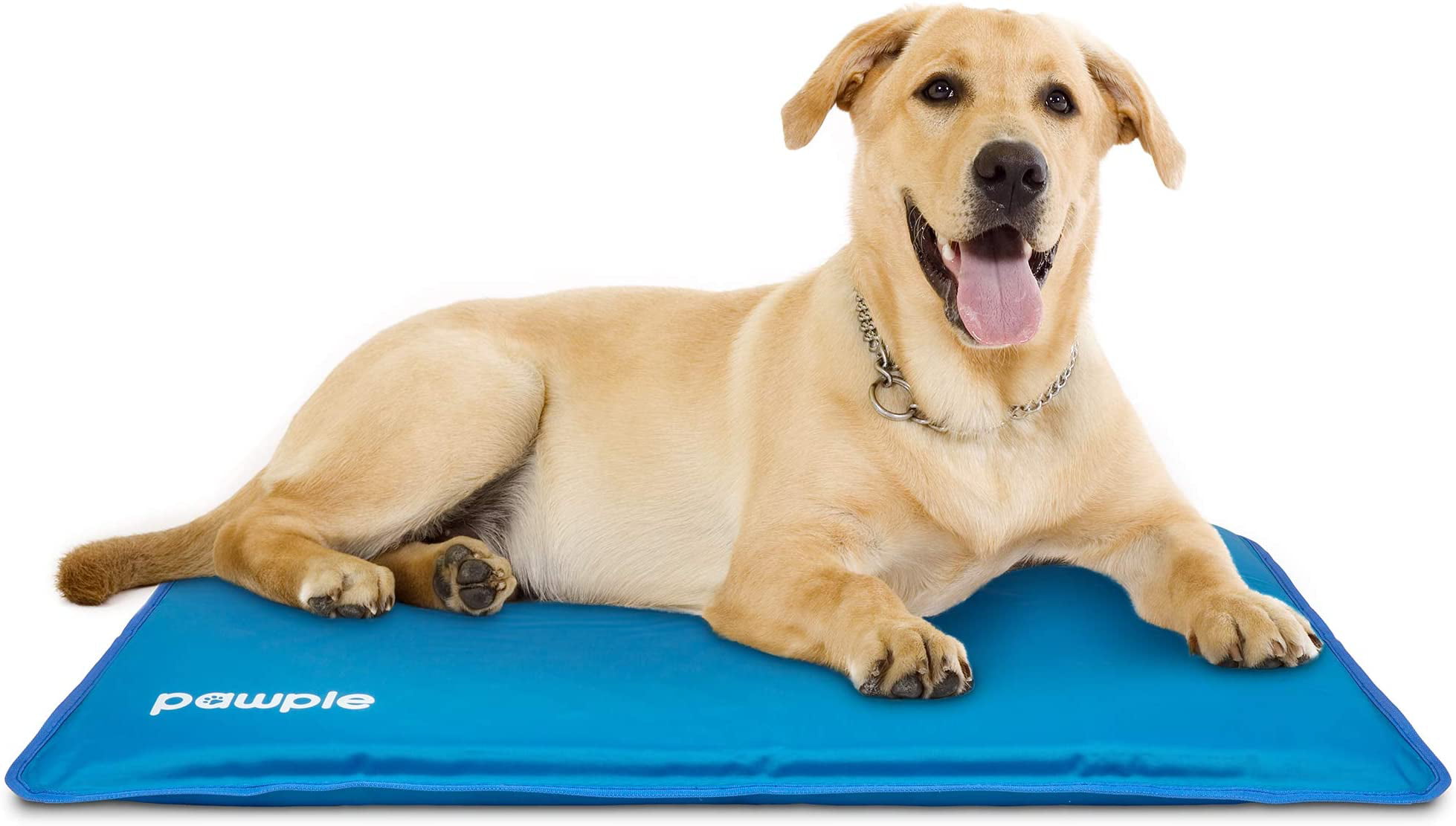 Pawple Self Cooling Dog Mat and Pad for Kennels, Crates and Beds, Thick  Foam Base 44 x 32