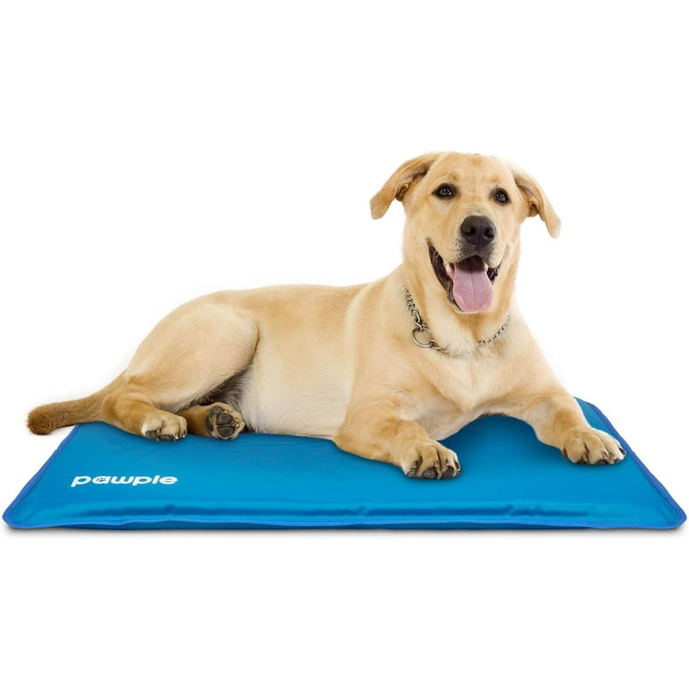 Self cooling top dog bed