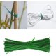 thumbnail image 1 of 200 piezas de lazos para plantas, lazos de jardín verdes ajustables, cinturón de encuadernación de plantas de jardín, para sujetar plantas, alambre de encuadernación (30 cm, 10 cm), 1 of 2