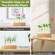 Desktop Plant Propagation Station, Dingrich 5 Glass Test Tube Plant Terrarium with Wooden Stand for Hydroponic Plants Home Office Home Decoration