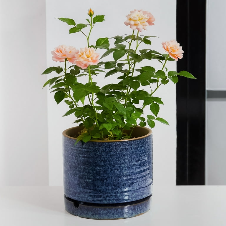 Better Homes & Gardens Pottery 6