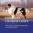 thumbnail image 4 of Champú para perros Chris Christensen White on White Whitening 3.78 L, 4 of 9