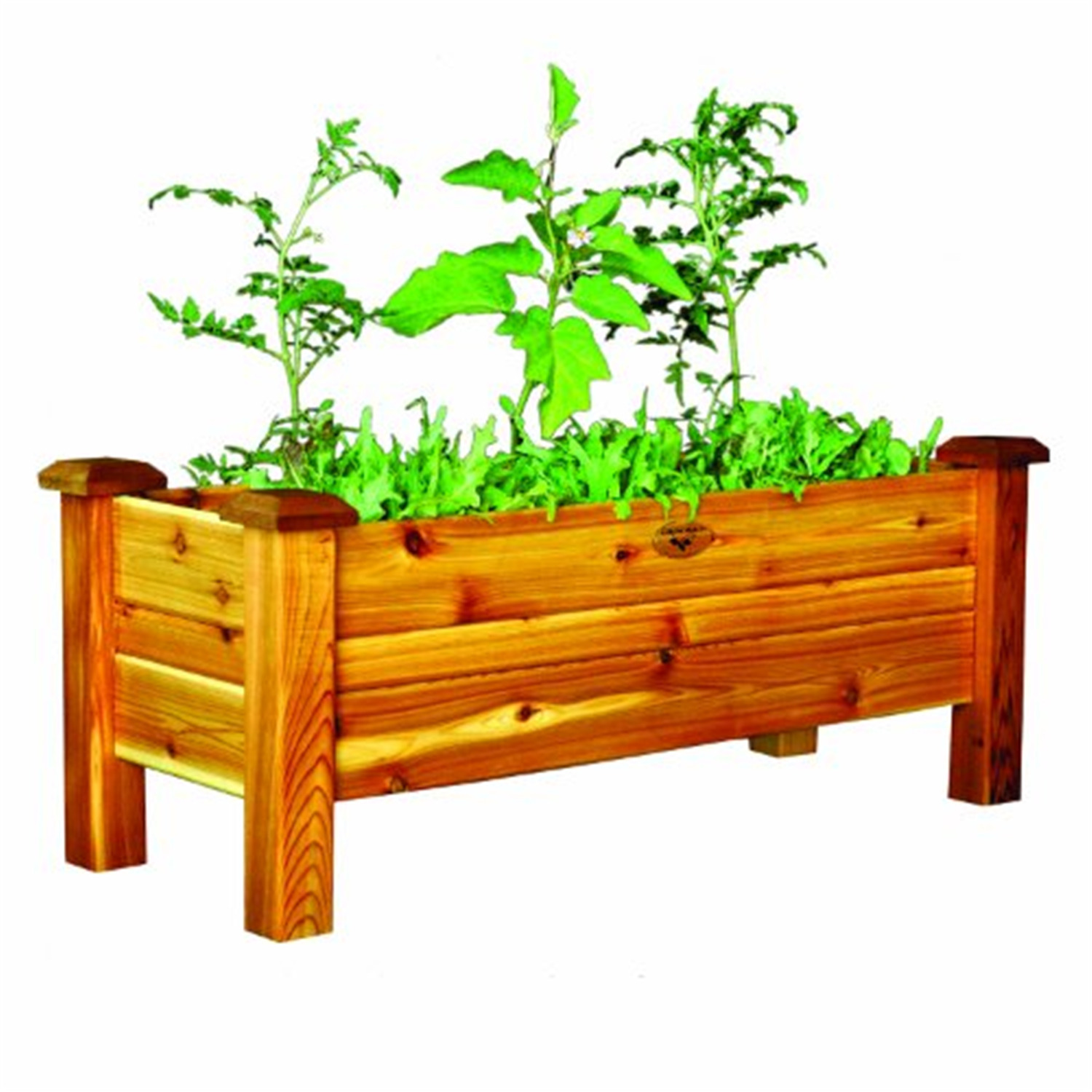 Planter Boxes